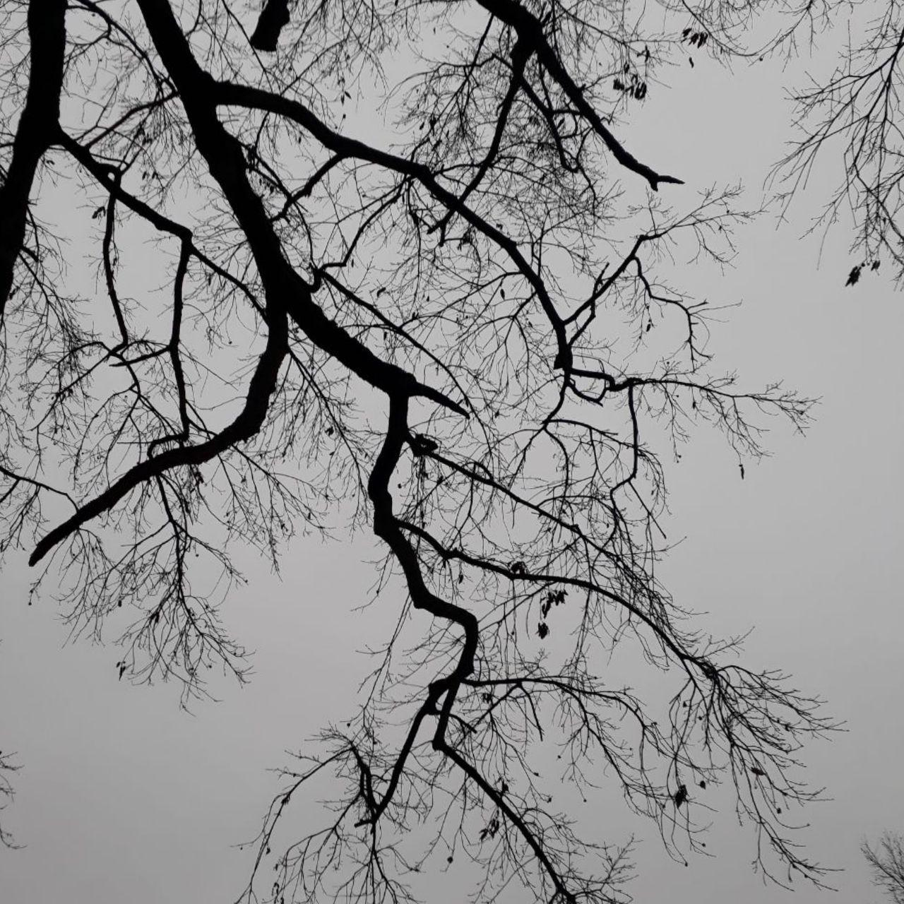 دانلود آهنگ کجاست از راوی