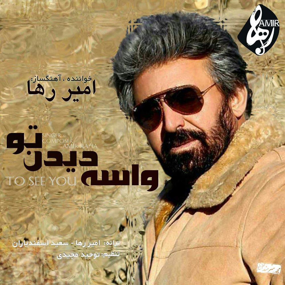 دانلود آهنگ واسه دیدن تو از امیر رها