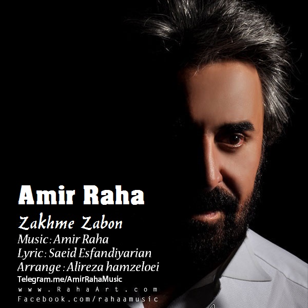 دانلود آهنگ زخم زبون از امیر رها