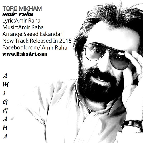 دانلود آهنگ تورو میخوام از امیر رها