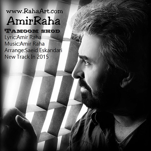 دانلود آهنگ تموم شد از امیر رها