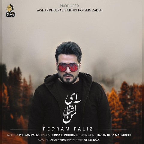 دانلود آهنگ ای آشنای من از پدرام پالیز