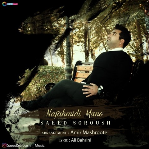 دانلود آهنگ نفهمیدی منو از سعید سروش