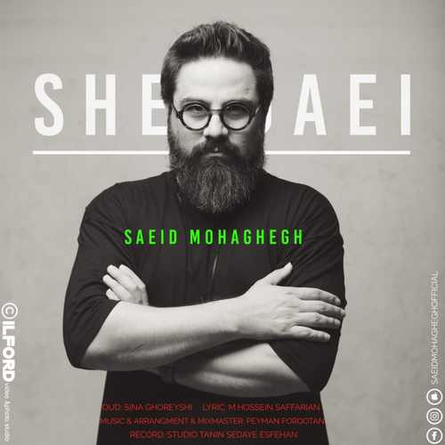 دانلود آهنگ شیدایی از سعید محقق
