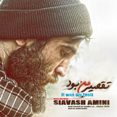 دانلود آهنگ تقصیر من بود از سیاوش امینی