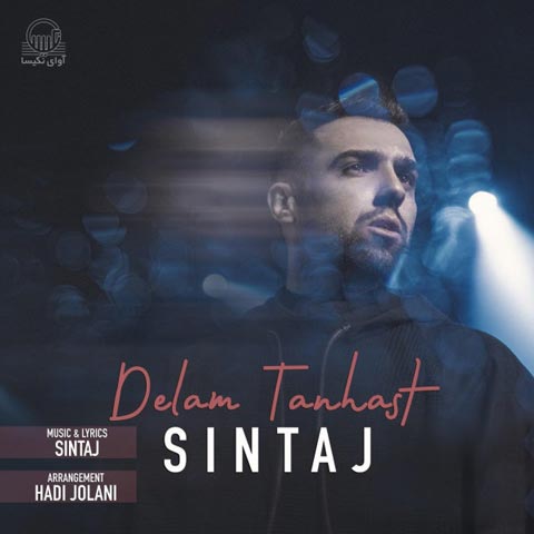 دانلود آهنگ دلم تنهاست از سینتاج