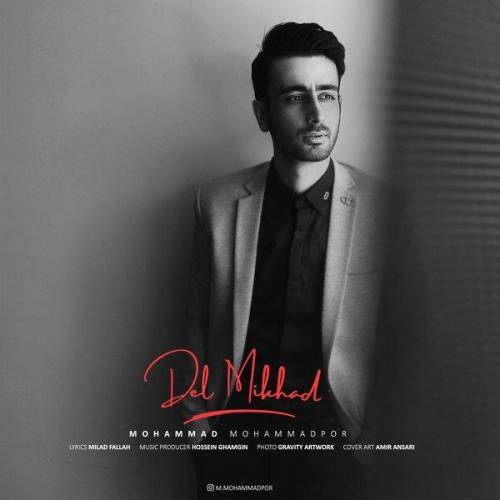 دانلود آهنگ دل میخواد از محمد محمدپور