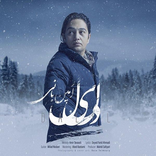 دانلود آهنگ دلیل از امین بانی