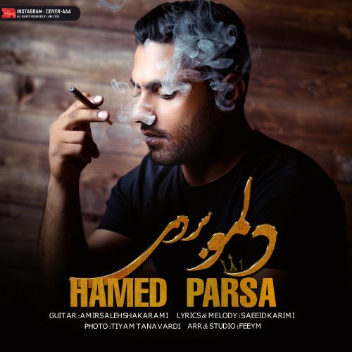 دانلود آهنگ دلمو بردی از حامد پارسا
