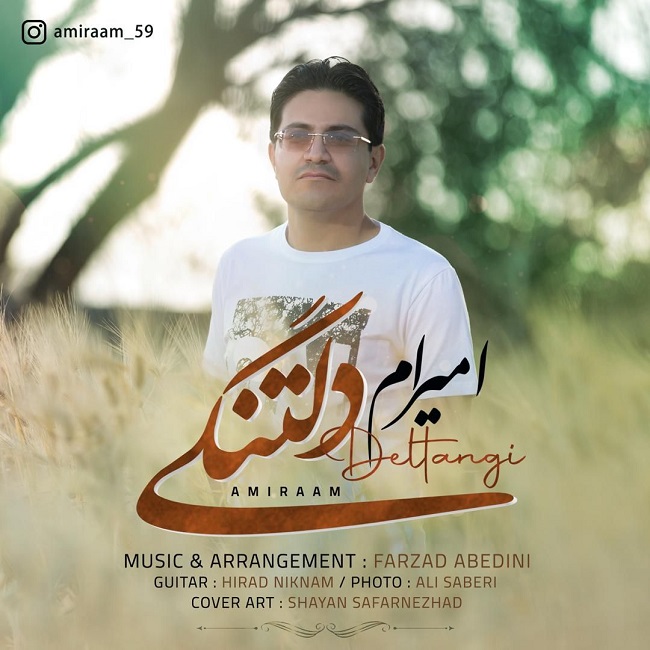 دانلود آهنگ دلتنگی از امیرام