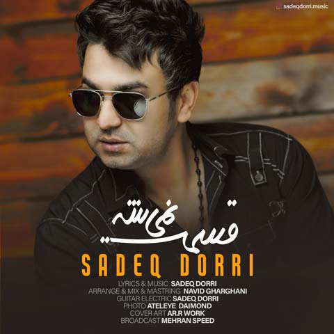 دانلود آهنگ قسمت نمیشه از صادق دری