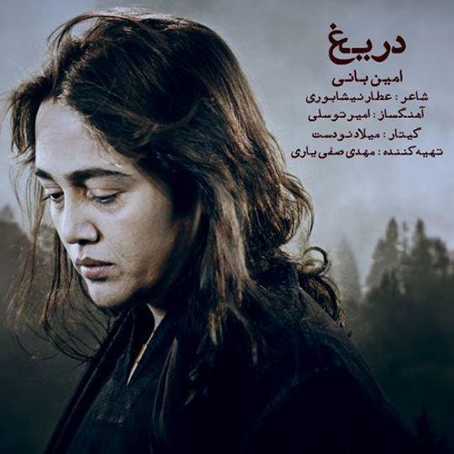 دانلود آهنگ دریغ از امین بانی