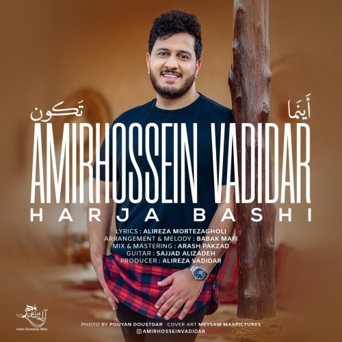 دانلود آهنگ هر جا باشی از امیرحسین وادیدار