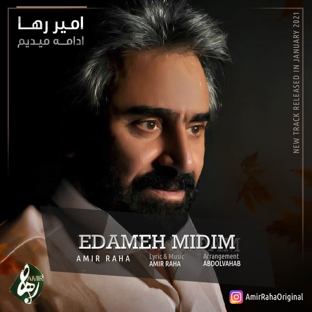 دانلود آهنگ ادامه میدیم از امیر رها