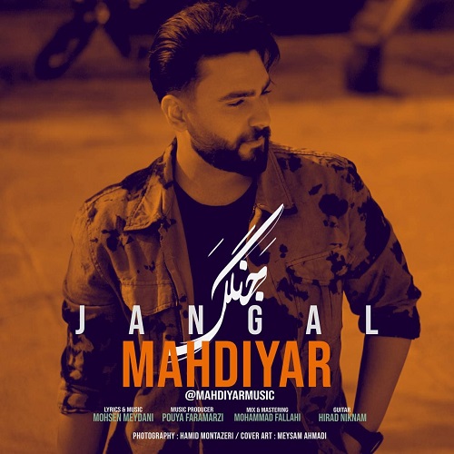 دانلود آهنگ جنگل از مهدیار