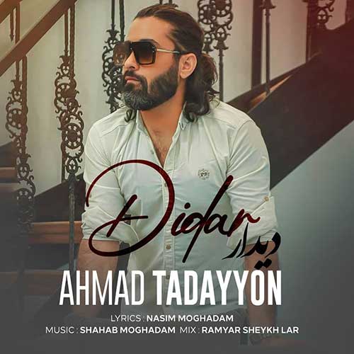 دانلود آهنگ دیدار از احمد تدین