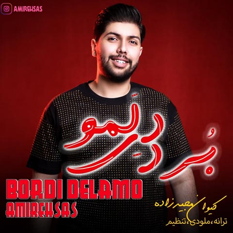 دانلود آهنگ بردی دلمو از امیر احساس