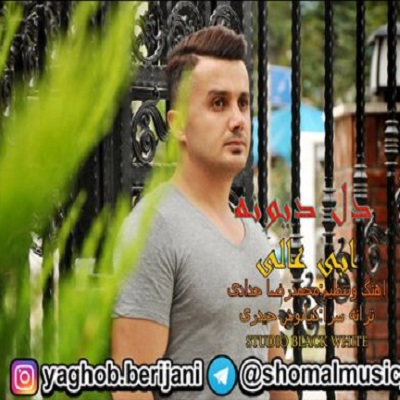 دانلود آهنگ دل دیوونه از ابی عالی