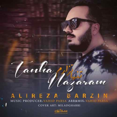 دانلود آهنگ تنها نذارم از علیرضا برزین