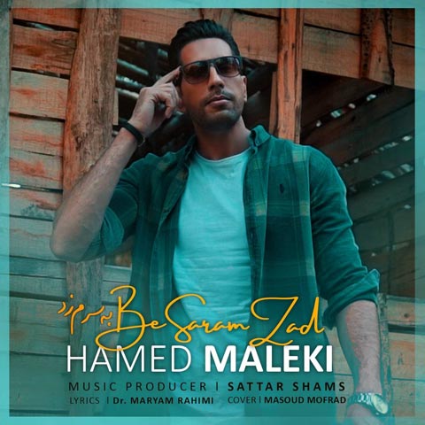دانلود آهنگ به سرم زد از حامد مالکی