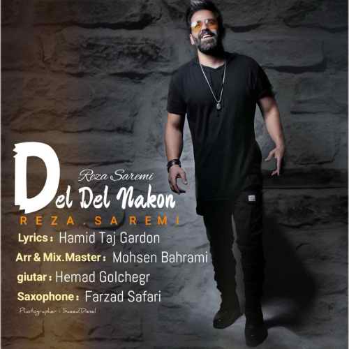 دانلود آهنگ دل دل نکن از رضا صارمی