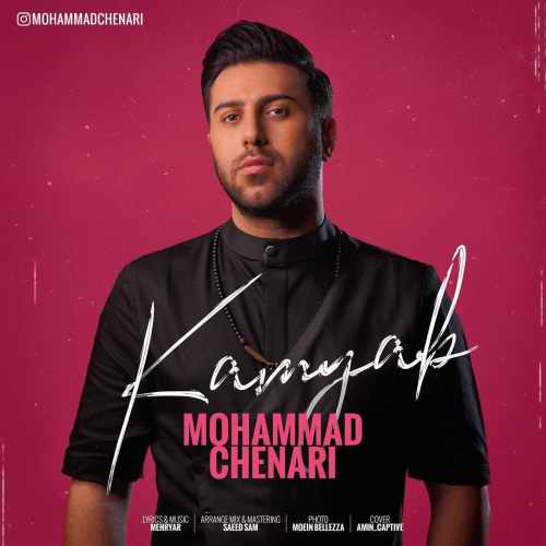 دانلود آهنگ کمیاب از محمد چناری