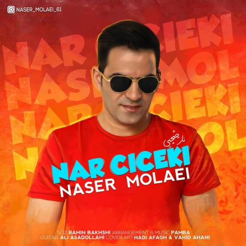 دانلود آهنگ نار چیچیی از ناصر مولایی
