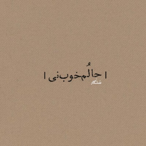 دانلود آهنگ حالم خوب نی از سنگار