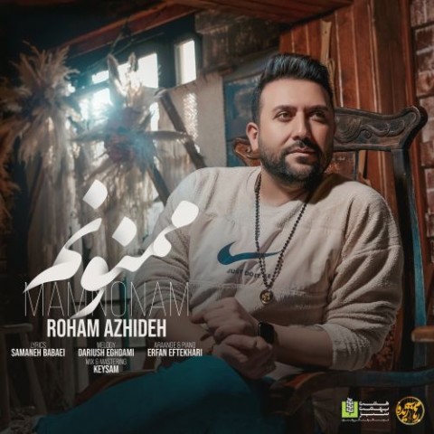 دانلود آهنگ ممنونم از رهام آژیده