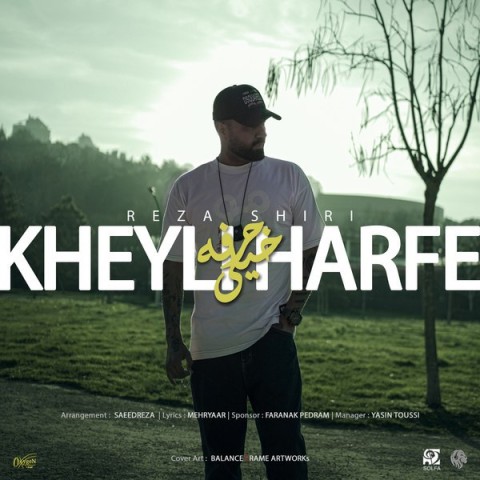 دانلود آهنگ خیلی حرفه از رضا شیری