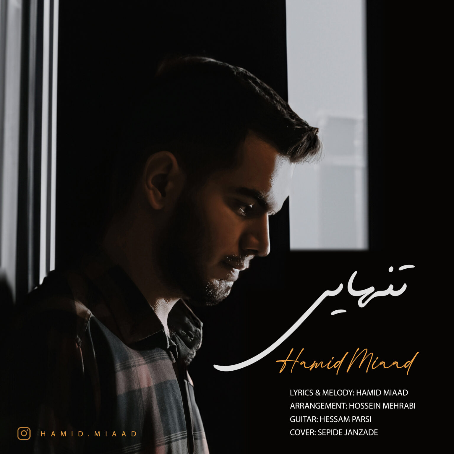 دانلود آهنگ تنهایی از حمید میعاد