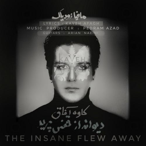 دانلود آهنگ دیوانه از قفس پرید از کاوه آفاق