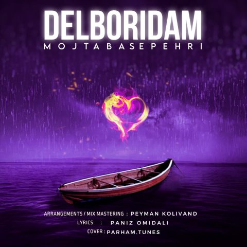 دانلود آهنگ دل بریدم از مجتبی سپهری