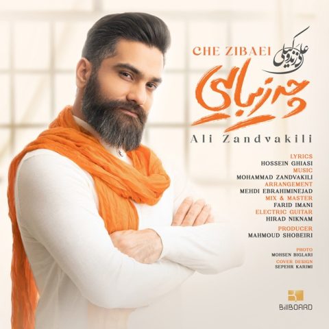 دانلود آهنگ چه زیبایی از علی زند وکیلی