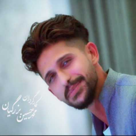 دانلود آهنگ تو رو دارم از حسین کریمی پناه