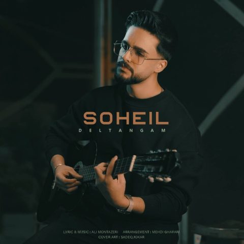 دانلود آهنگ دلتنگم از سهیل