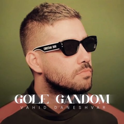 دانلود آهنگ گل گندم از وحید دانشور