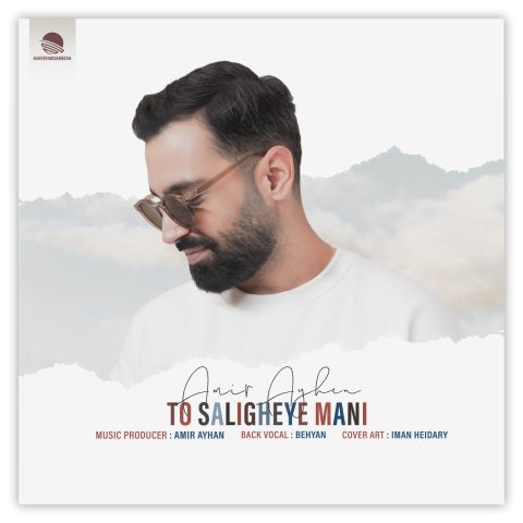 دانلود آهنگ تو سلیقه منی از امیر آیهان