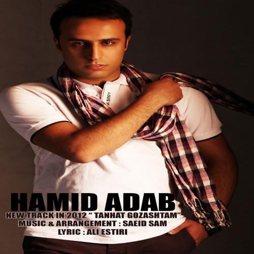 دانلود آهنگ تنهات گذاشتم از حمید آداب