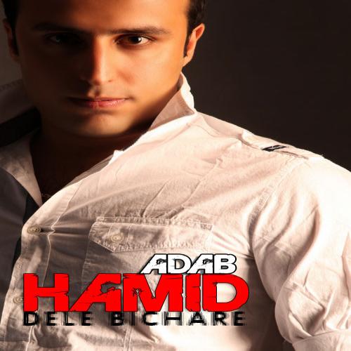 دانلود آهنگ دل بیقرار از حمید آداب