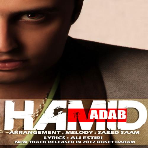 دانلود آهنگ دوست دارم از حمید آداب