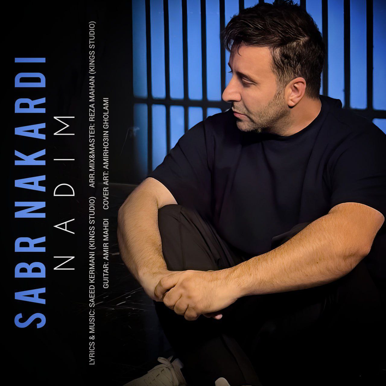 دانلود آهنگ صبر نکردی از ندیم