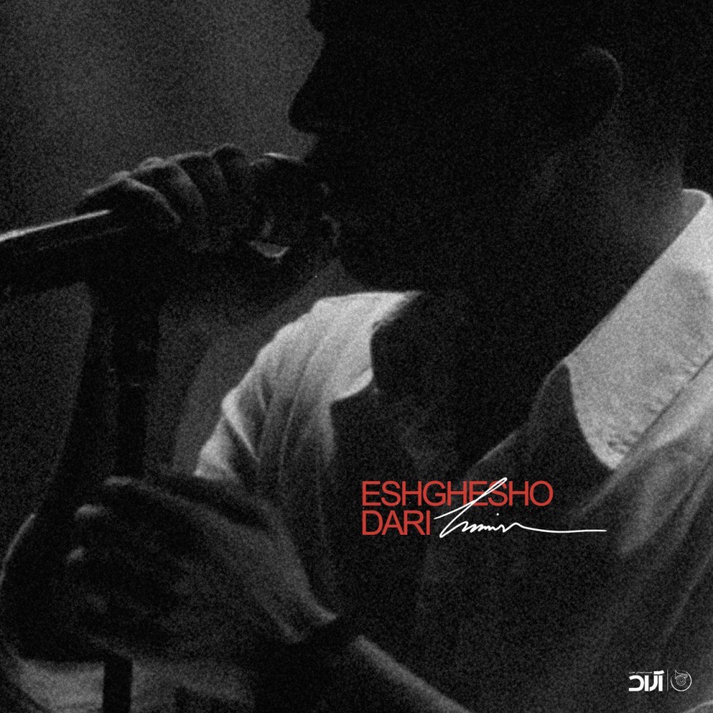 دانلود آهنگ عشقو داری از حامیم