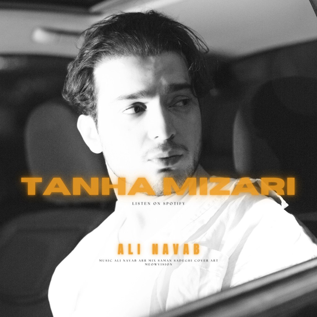 دانلود آهنگ تنها میزاری از علی نواب