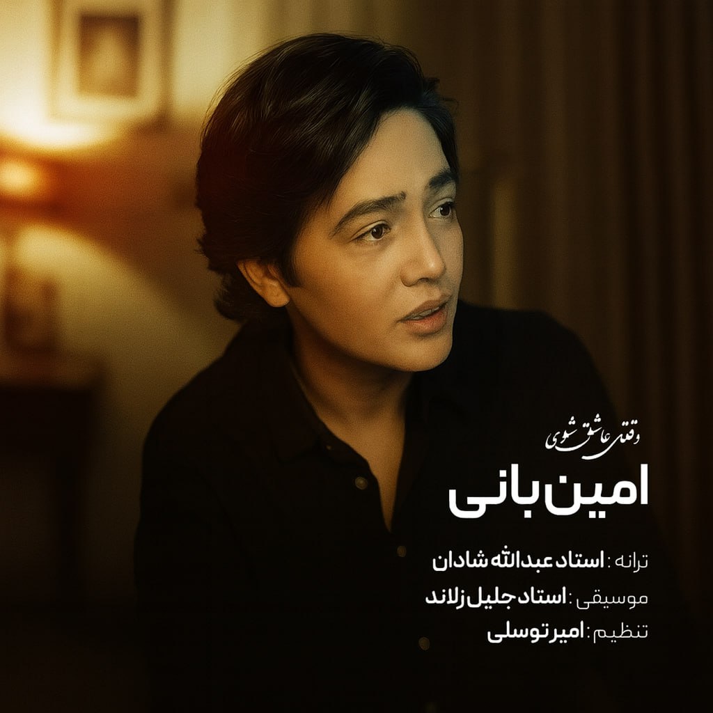 دانلود آهنگ وقتی عاشق شوی از امین بانی