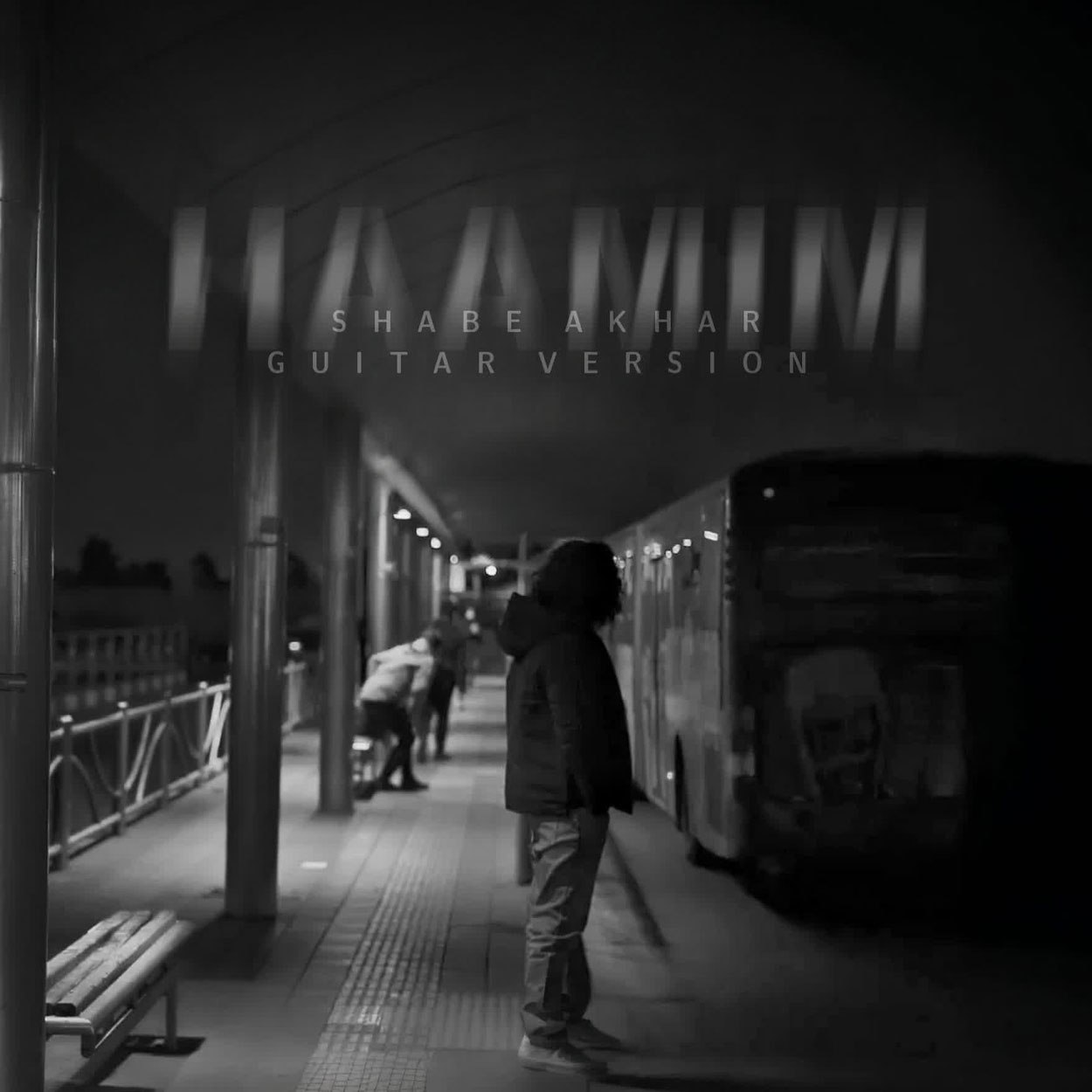 دانلود آهنگ شب آخر (گیتار ورژن) از حامیم